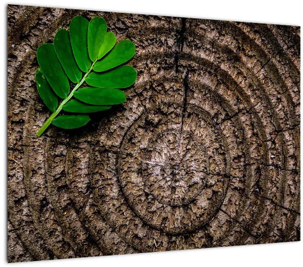 Tablou cu frunză pe trunchi de copac (70x50 cm), în 40 de alte dimensiuni noi