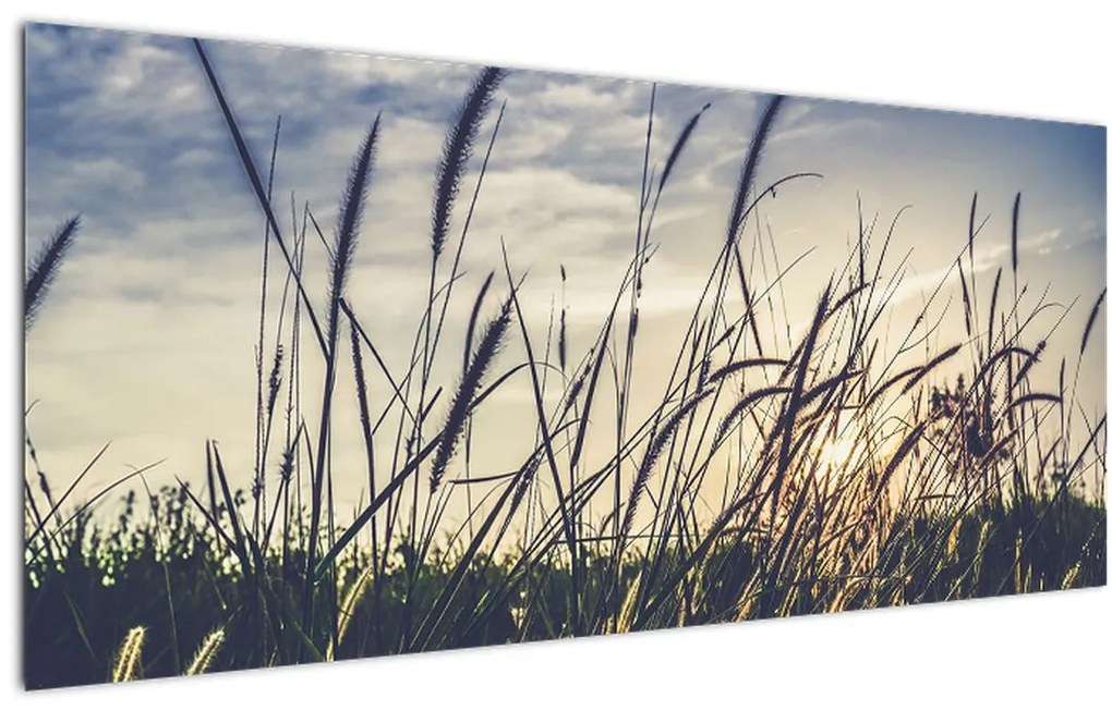 Tablou cu flori de câmp (120x50 cm)