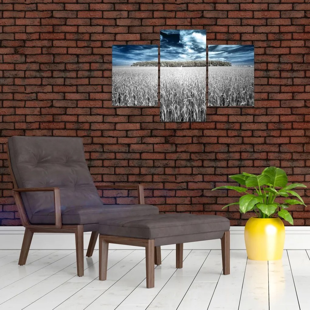 Tablou cu câmp (90x60 cm)