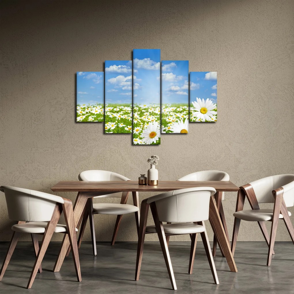 Tablou cu luncă înflorită cu margarete (150x105 cm)