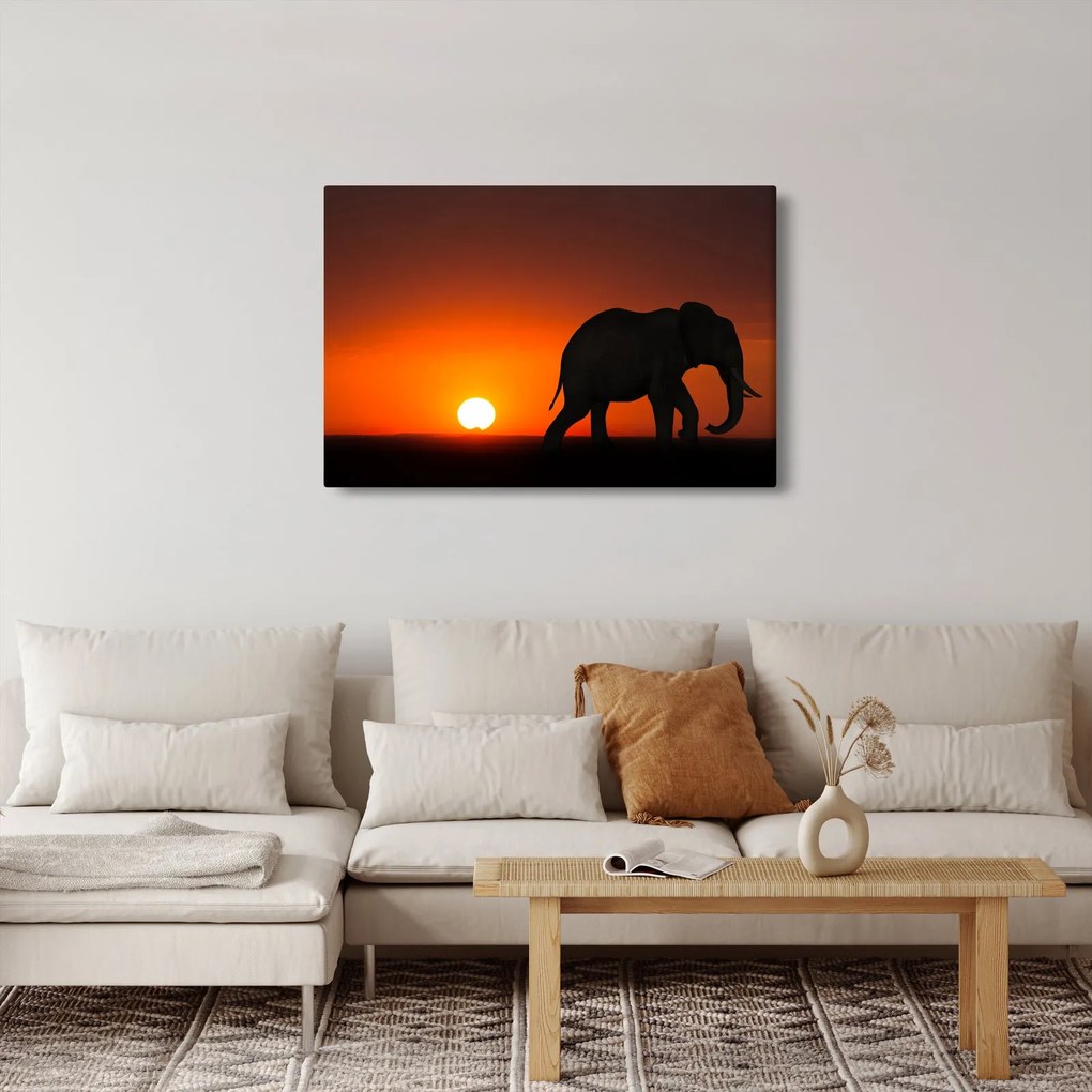Tablou cu elefant în apus de soare (90x60 cm)