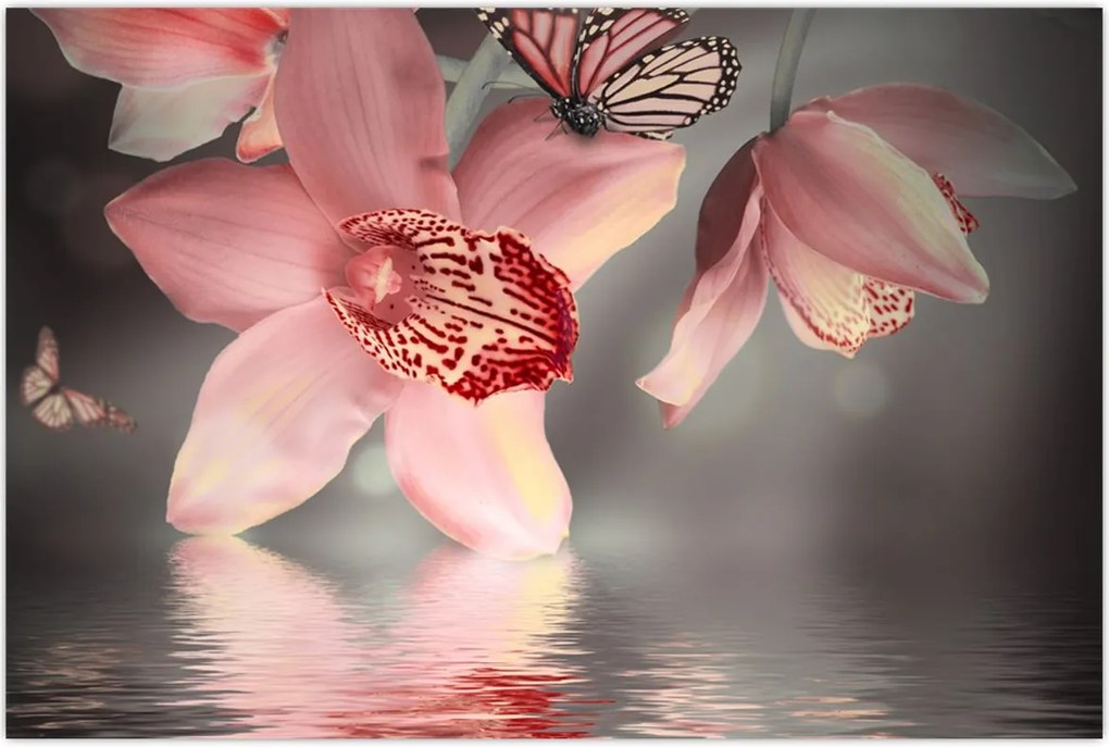 Tablou - Flori și fluture (90x60 cm)