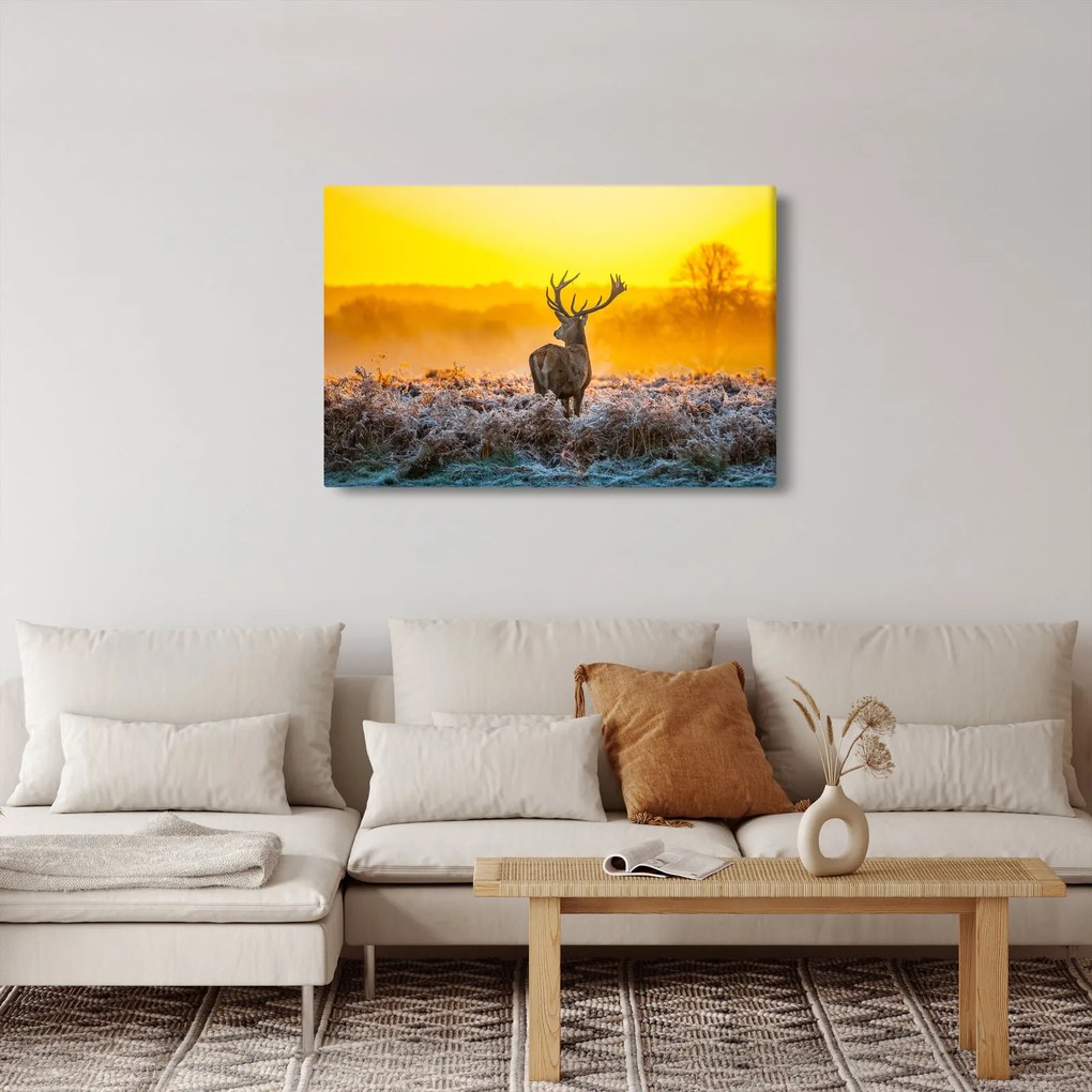 Tablou - Cerb la răsăritul soarelui (90x60 cm)
