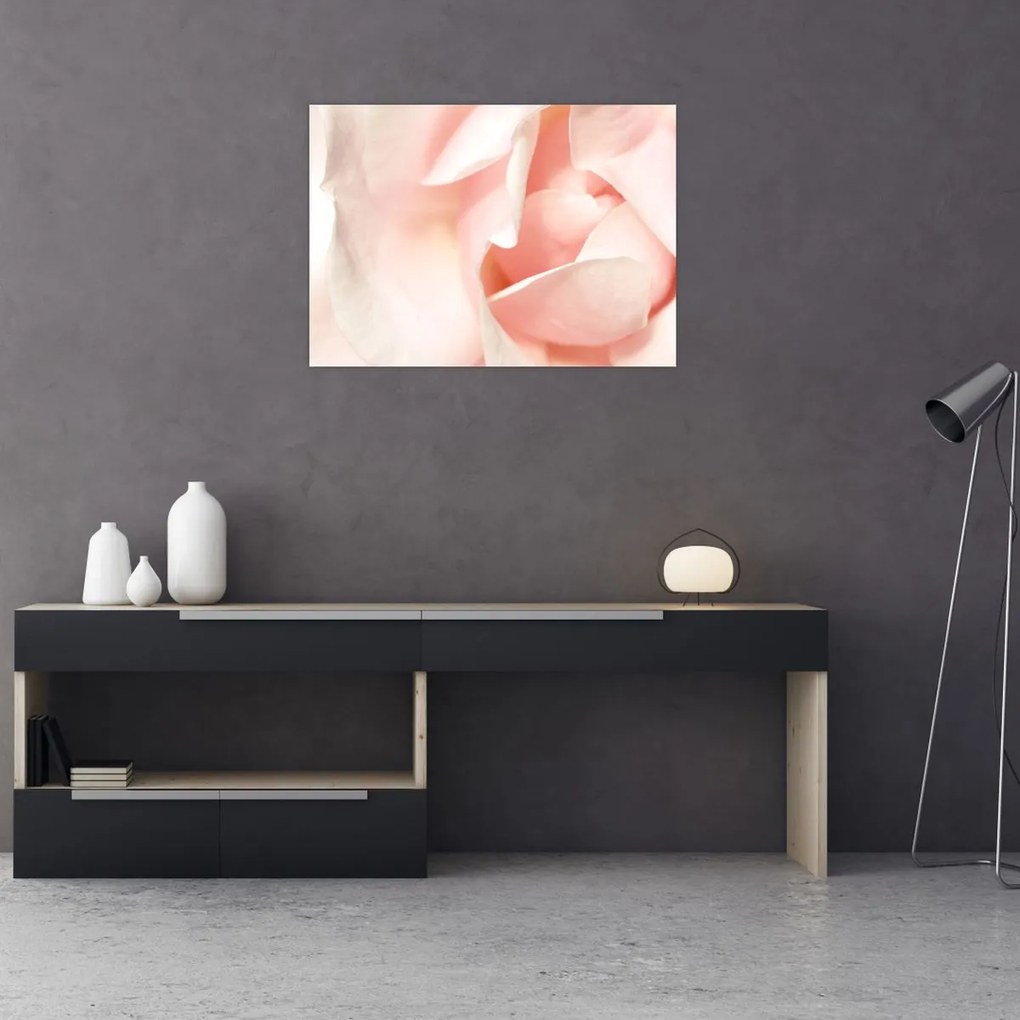 Tablou - Trandafiri (70x50 cm)