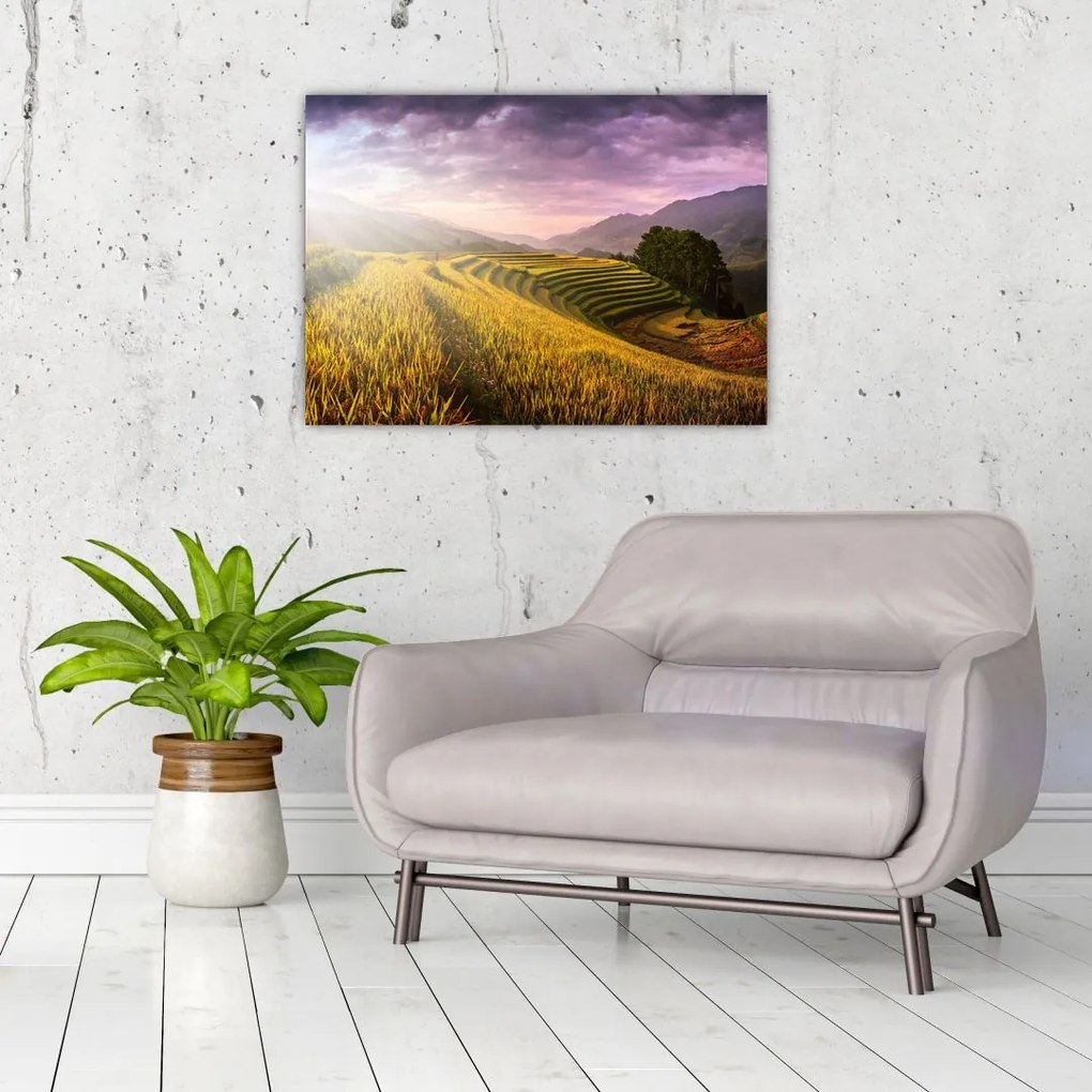 Tablou pe sticlă peisajului (70x50 cm)