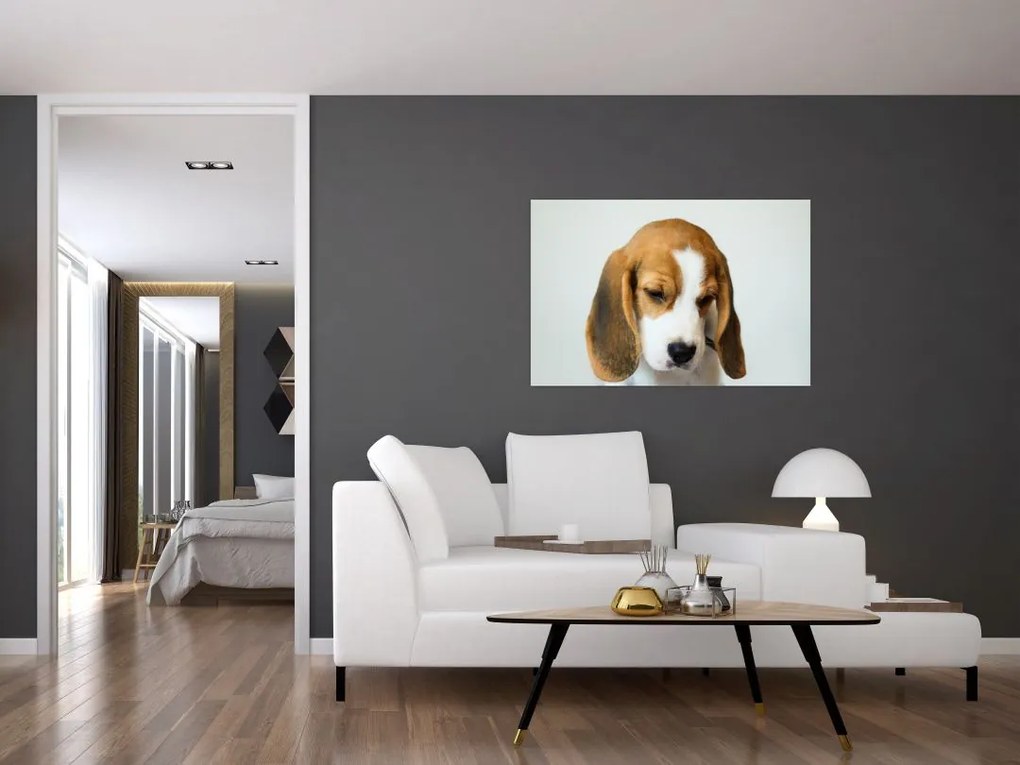 Tablou cu bigl (90x60 cm)