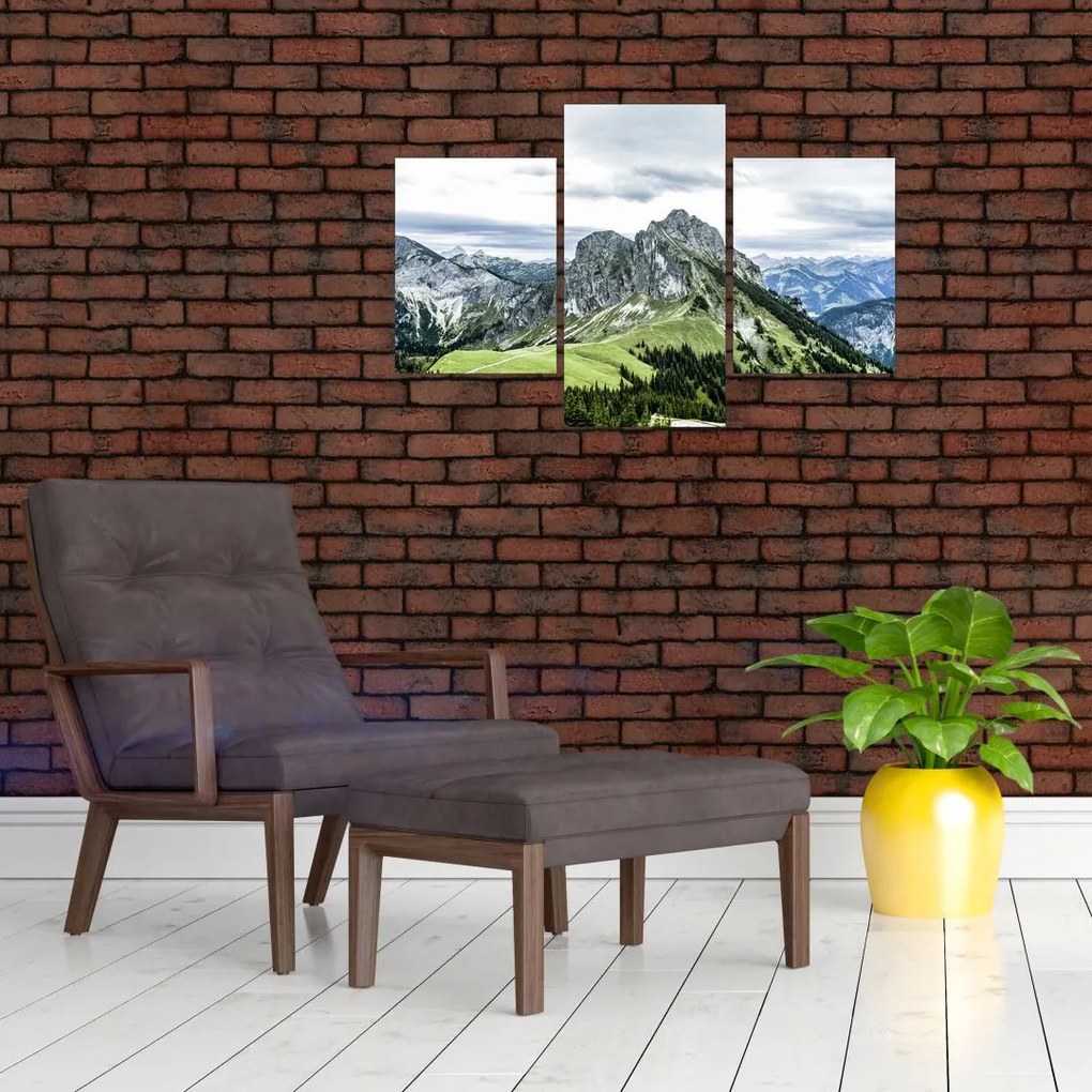 Tablou - Crestele munților (90x60 cm)