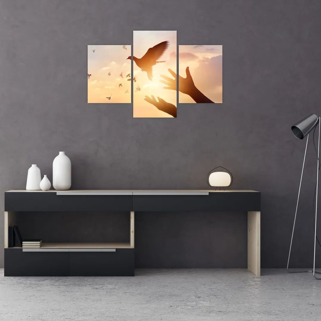 Tablou - Porumbițo, zboară! (90x60 cm)