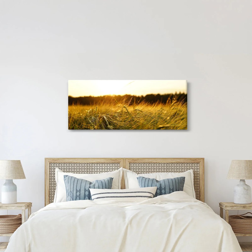 Tablou iarba cu rouă (120x50 cm)