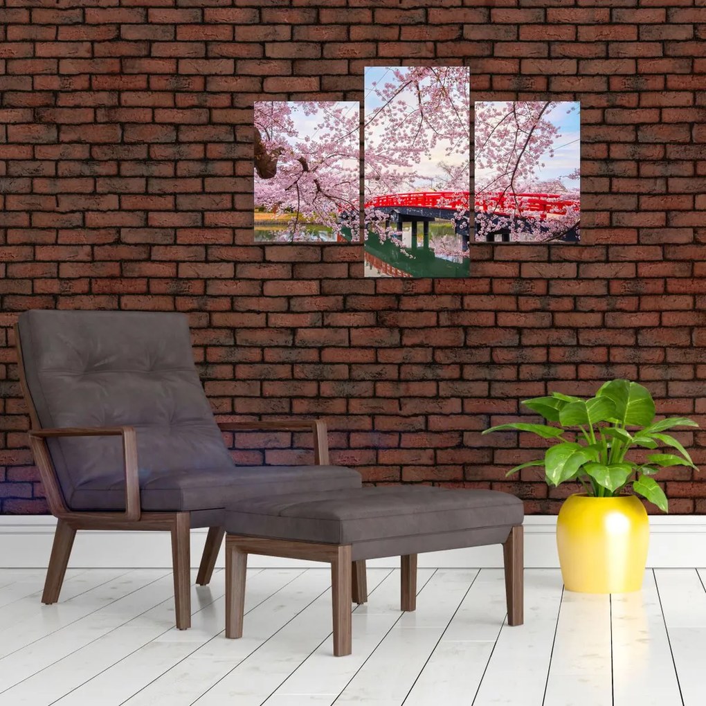 Tablou - Hirosaki, Japonia (90x60 cm)