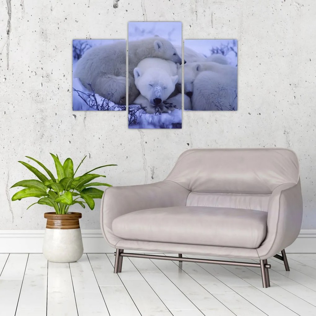 Tablou - Urși polari (90x60 cm)