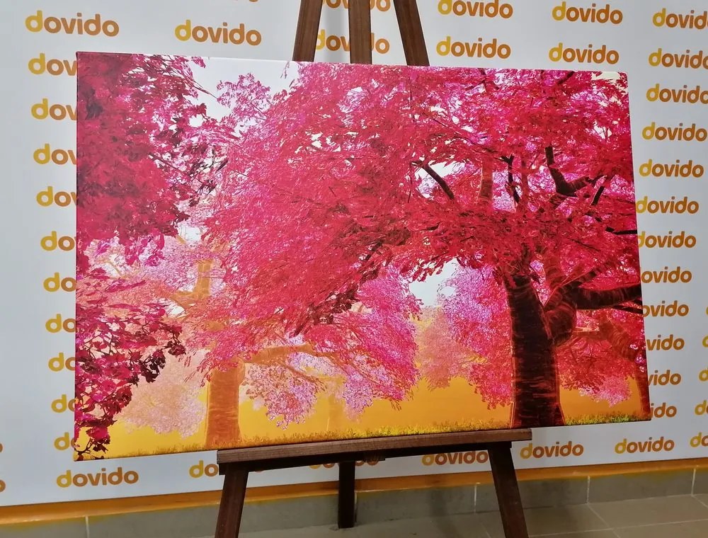 Tablou pomi fermecători înfloriți