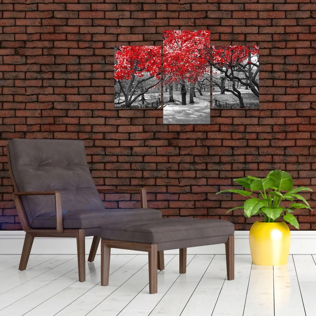 Tablou - Copaci roșii, Central Park, New York (90x60 cm)