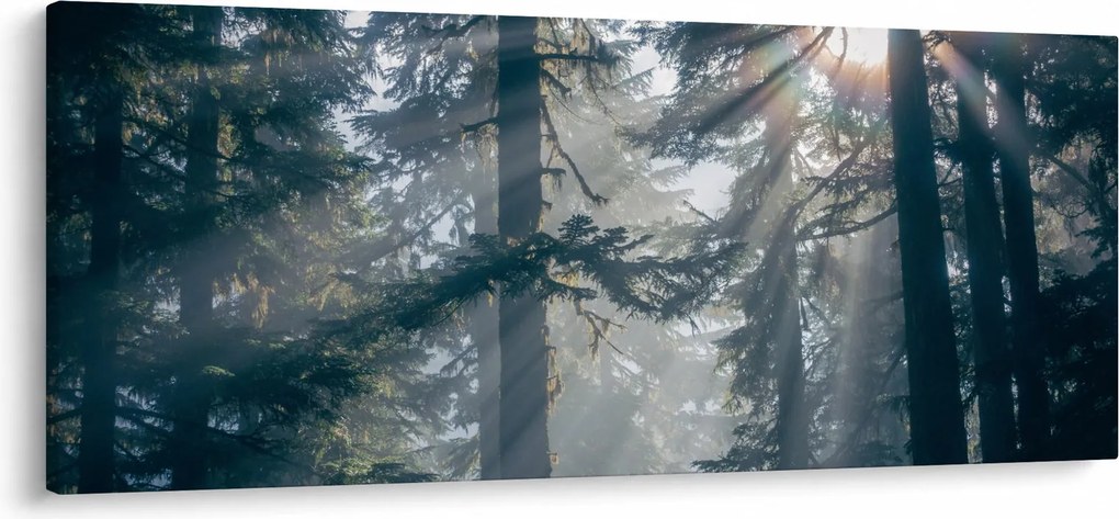 Tablou cu copaci și soarele translucind (120x50 cm)