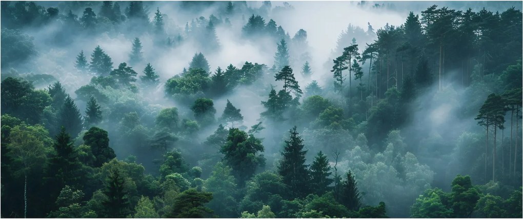 Tablou - Pădure în Ceață (120x50 cm)