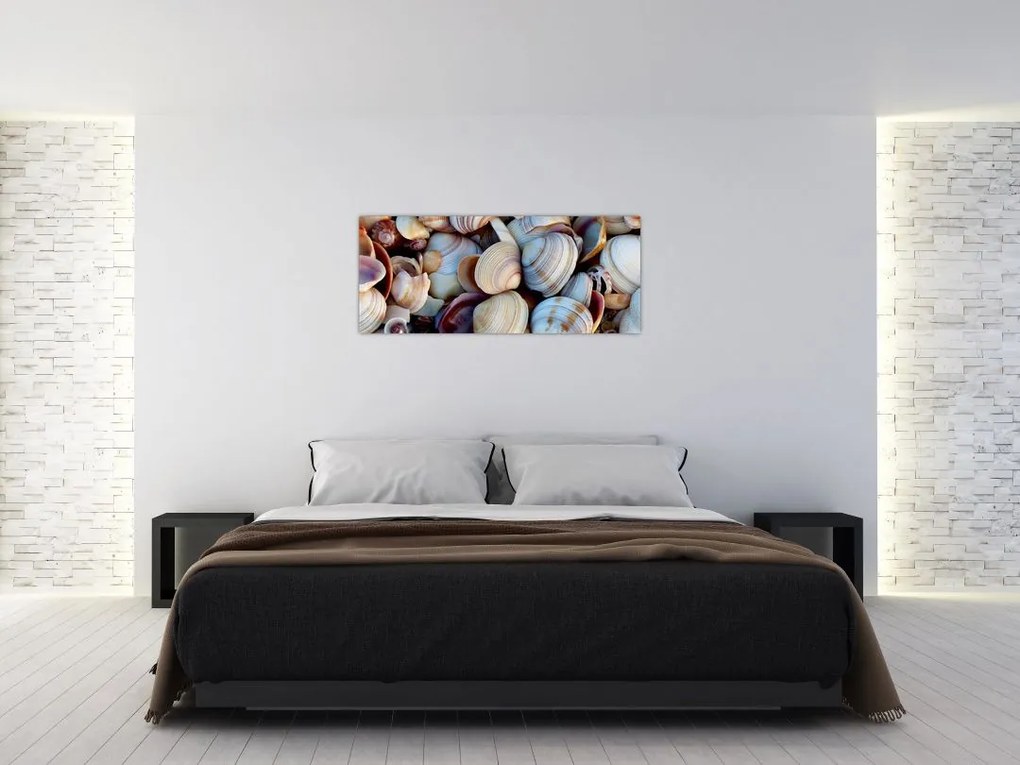 tablou cu scoici (120x50 cm)