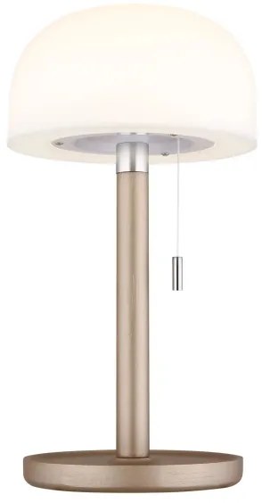 Lampă LED de masă Globo 21016CH NORMAN LED/1,5W/3,7V 3000/4200/6000K maro