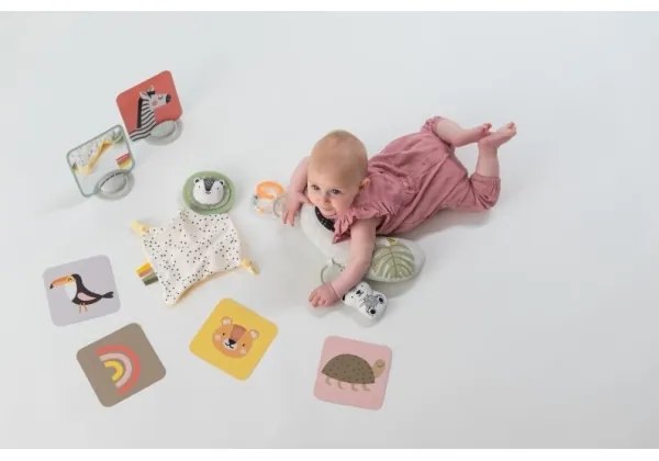 Cutie cadou HELLO BABY Taf Toys