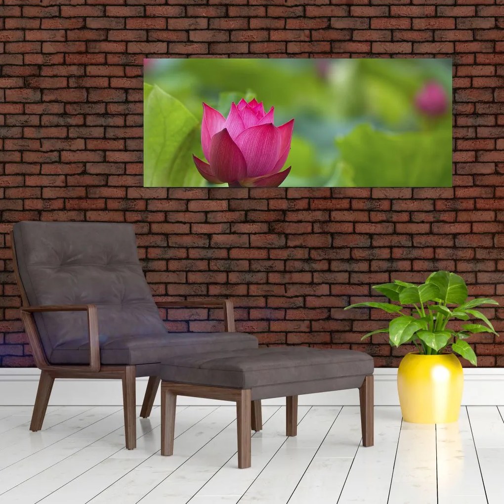 Tablou - floare de apă (120x50 cm)