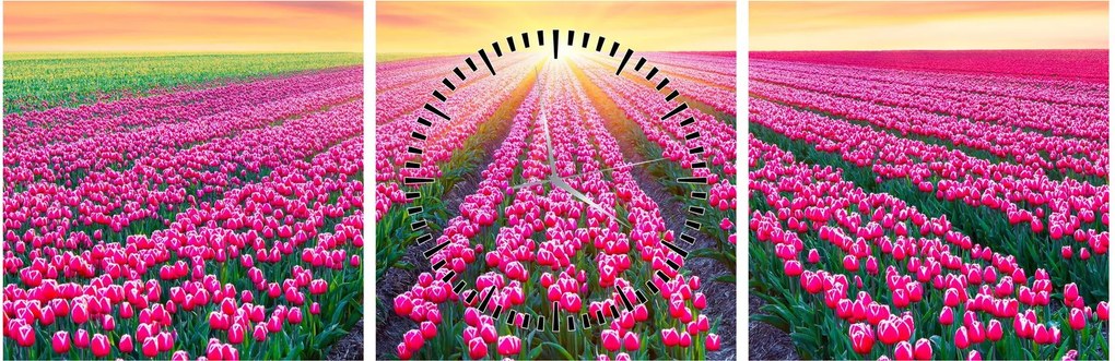Tablou cu câmp de lalele cu soare (cu ceas) (90x30 cm)