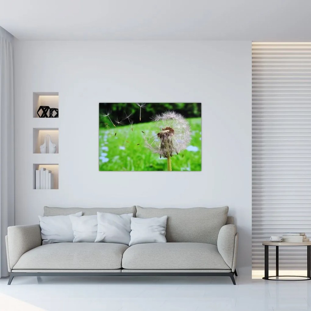 Tablou cu păpădie (90x60 cm)