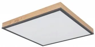 Plafoniera moderna led 24W Doro 416080WD2 Globo