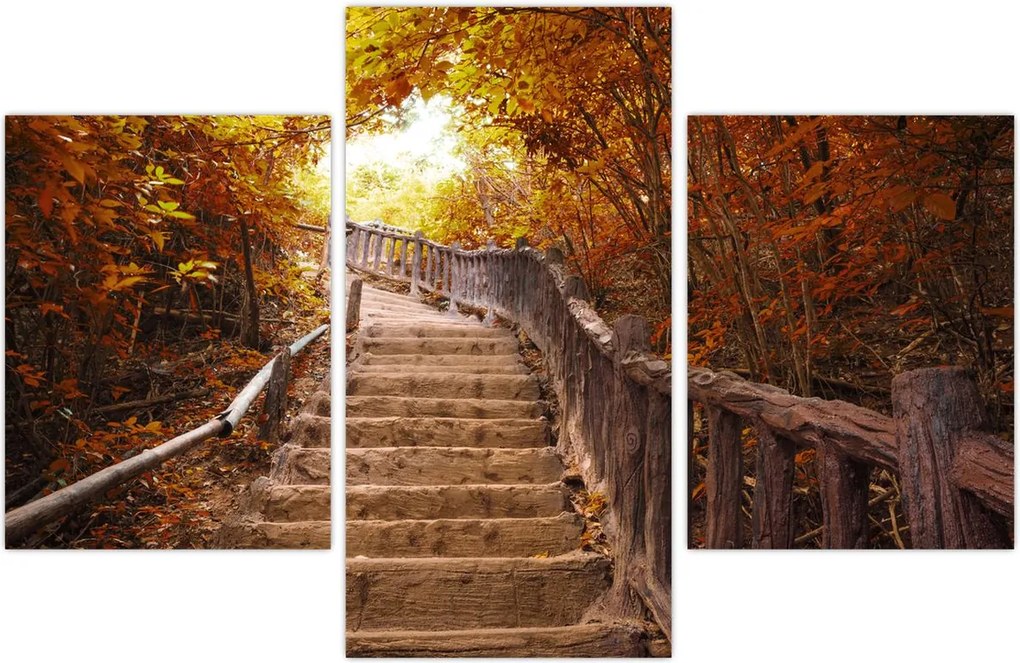 Tablou - Scări în natură în toamnă (90x60 cm)