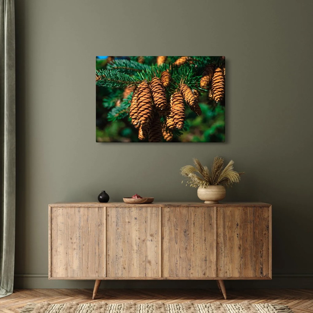Tablou cu con de brad (90x60 cm)