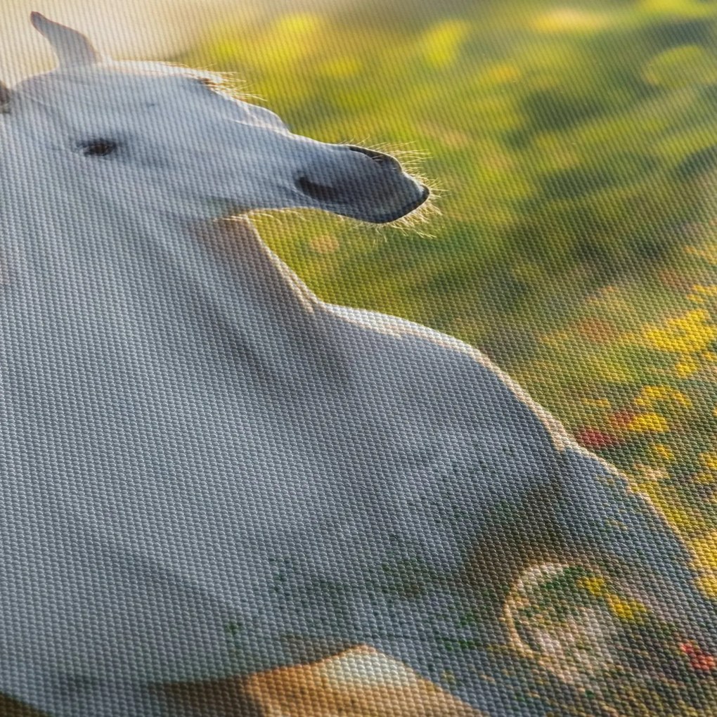 Tablou - Cal alb în poină (120x50 cm)