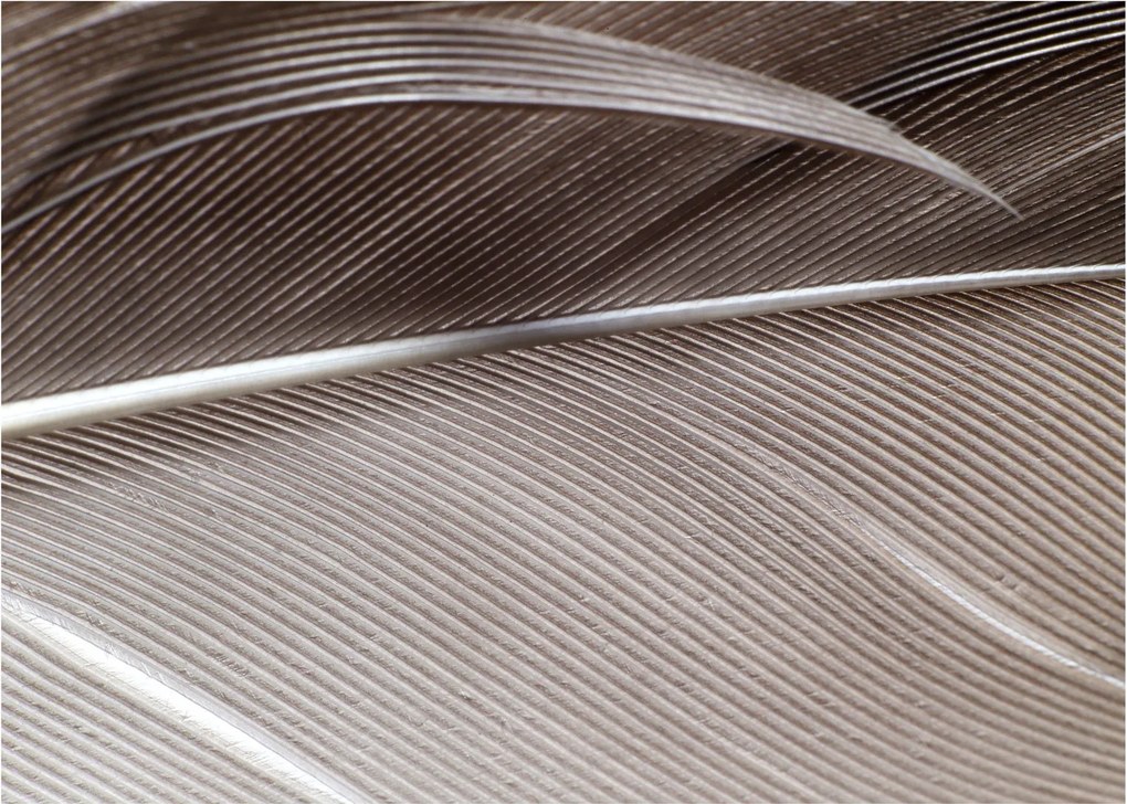 Tablou pe sticlă cu fibre abstacte (70x50 cm)