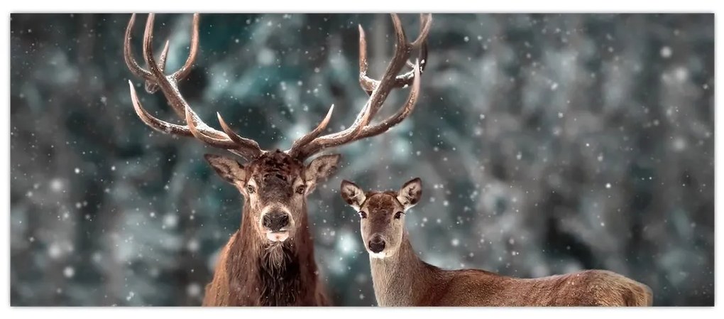 Tablou - Cerb și căprioare în pădurea înzăpezită (120x50 cm)