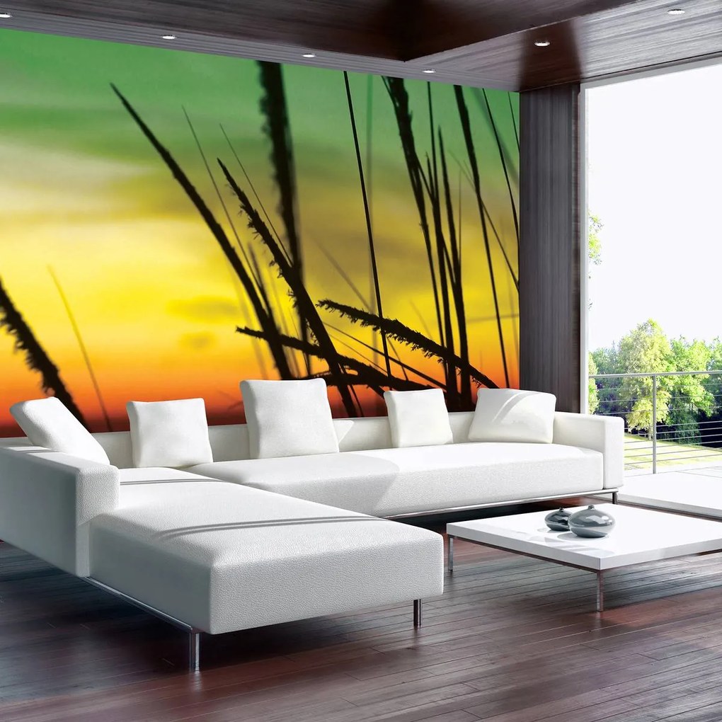 Fototapet - Iarba pe plajă (152,5x104 cm)