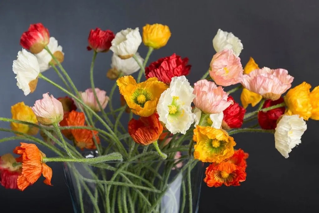 Aranjament floral, vaza eleganta cu maci multicolori TROP 1141847.01