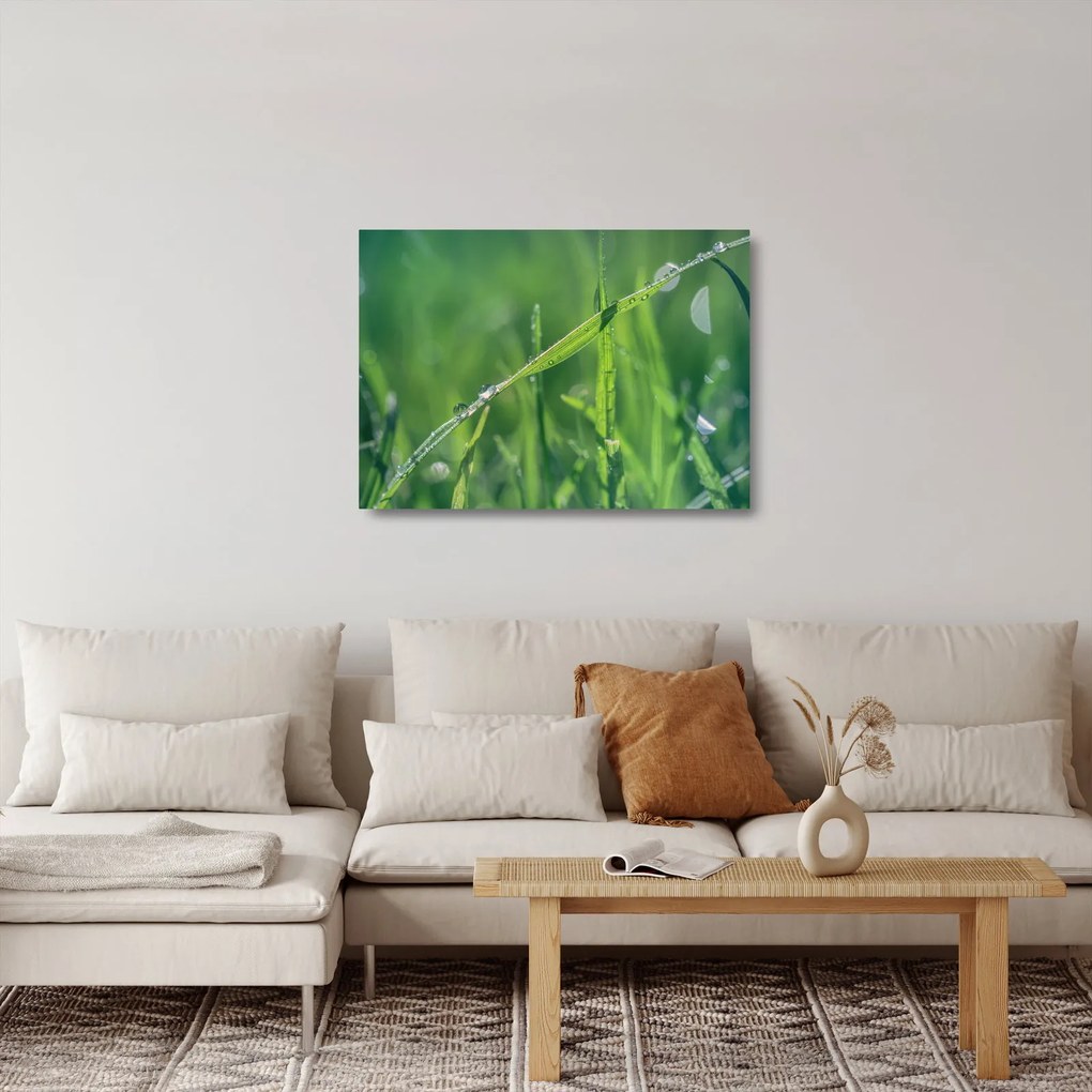 Tablou pe sticlă cu picături de rouă (70x50 cm)