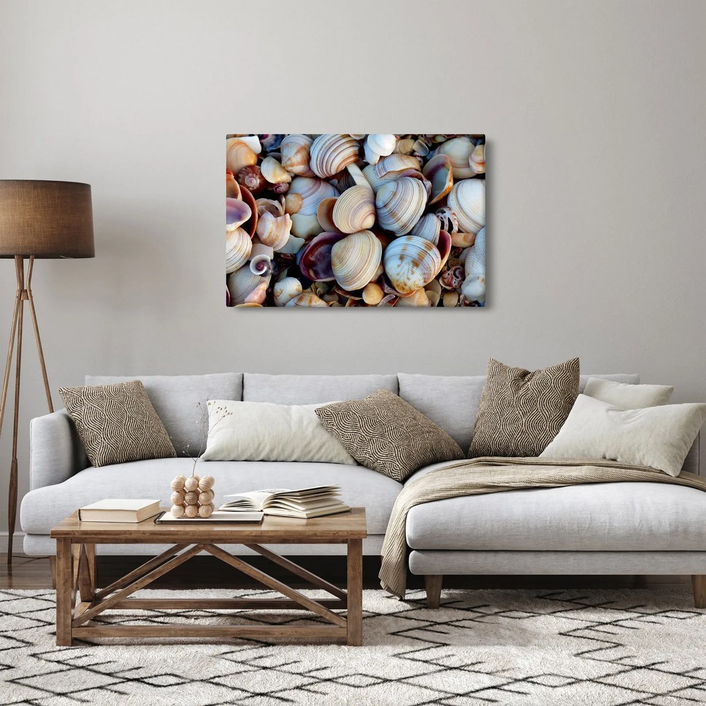tablou cu scoici (90x60 cm)