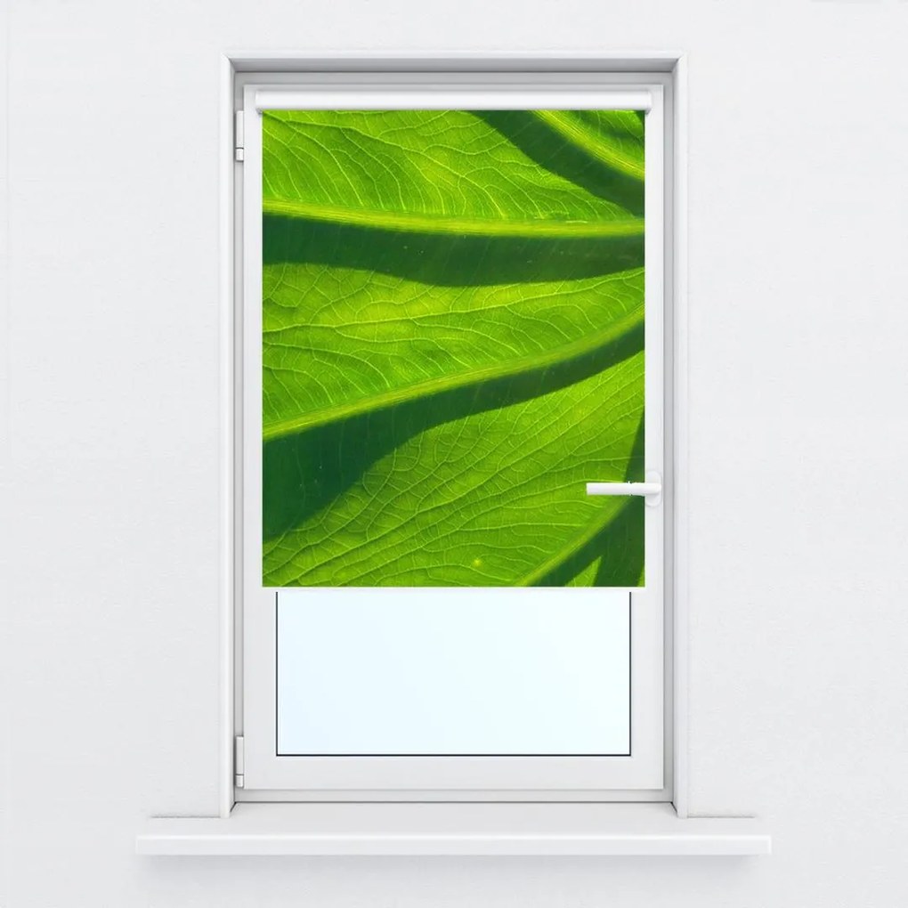 Fotojaluzele R014829R42150 (42x150 cm)