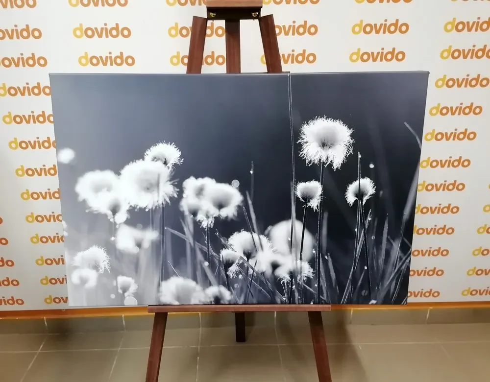 Tablou iarbă din bumbac în design alb-negru