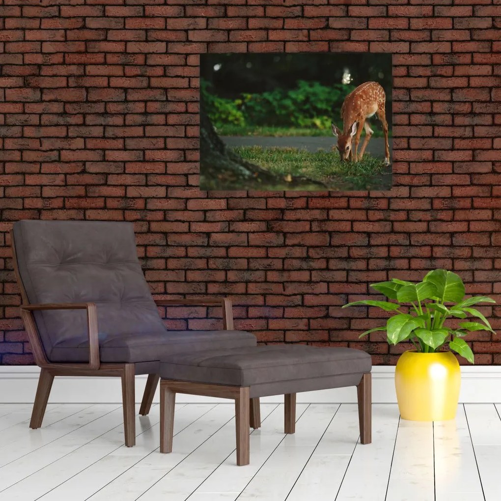 Tablou cu pui de cerb (70x50 cm)