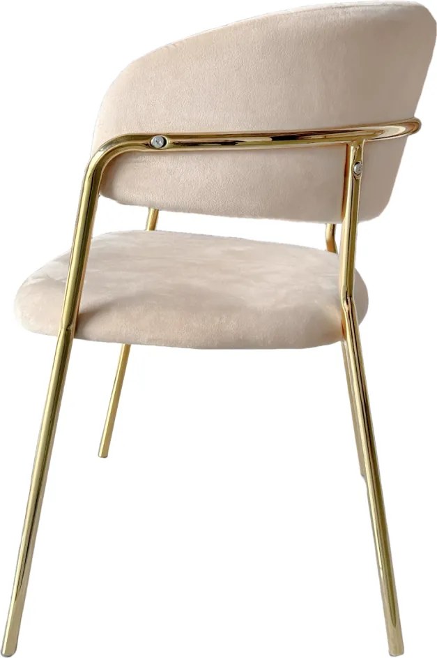 Fotoliu de sufragerie de design, bej, Velvet/gold crom auriu, DASMIN NEW TIP 1
