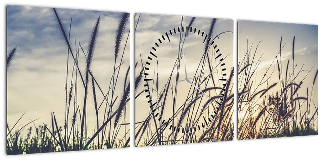 Tablou cu flori de câmp (cu ceas) (90x30 cm)