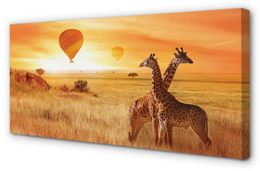 Tablouri canvas Baloane cer girafă