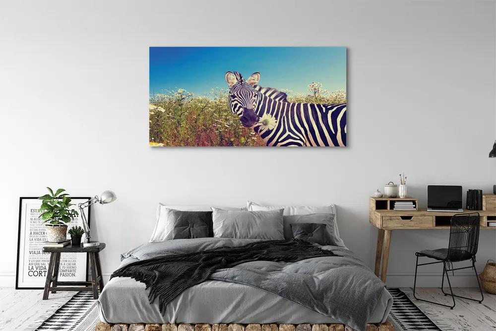 Tablouri canvas flori zebră