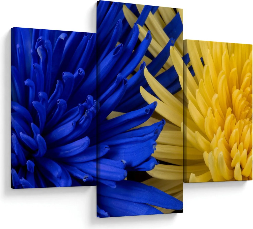 Tablou - detaliu florilor (90x60 cm)