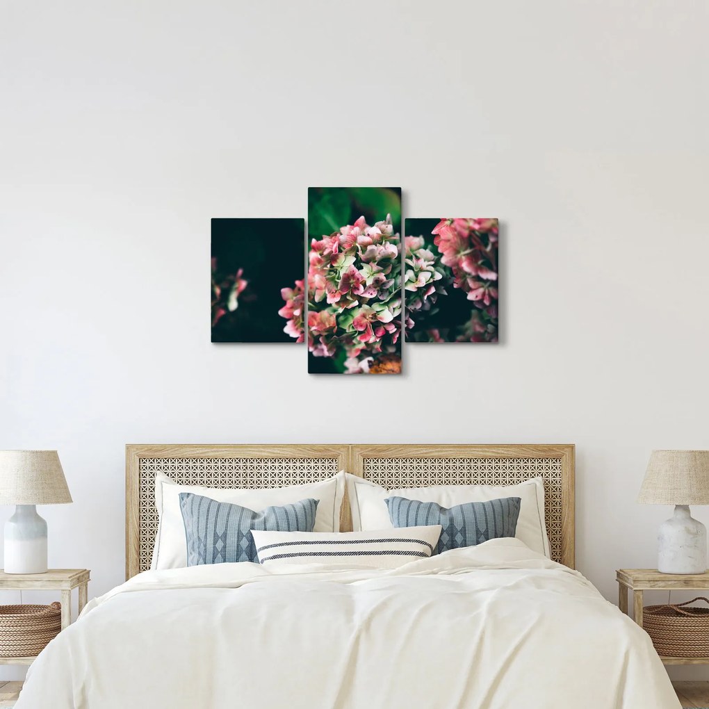 Tablou - Hortensie (90x60 cm)