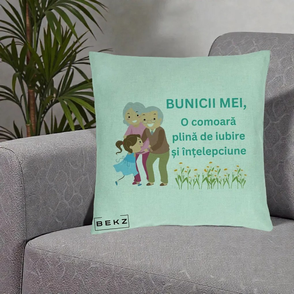 Cadou pentru Bunici - Perna Personalizata Bunicii Mei Comoara Iubire Intelepciune Nepoata, 40x40 cm, Verde Menta, Husa Detasabila, Perna Inclusa, BEKZ®
