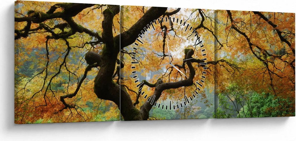 Tablou - Arțarul japonez galben, Portland, Oregon (cu ceas) (90x30 cm)