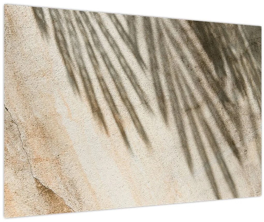 Tablou - Umbre (90x60 cm)