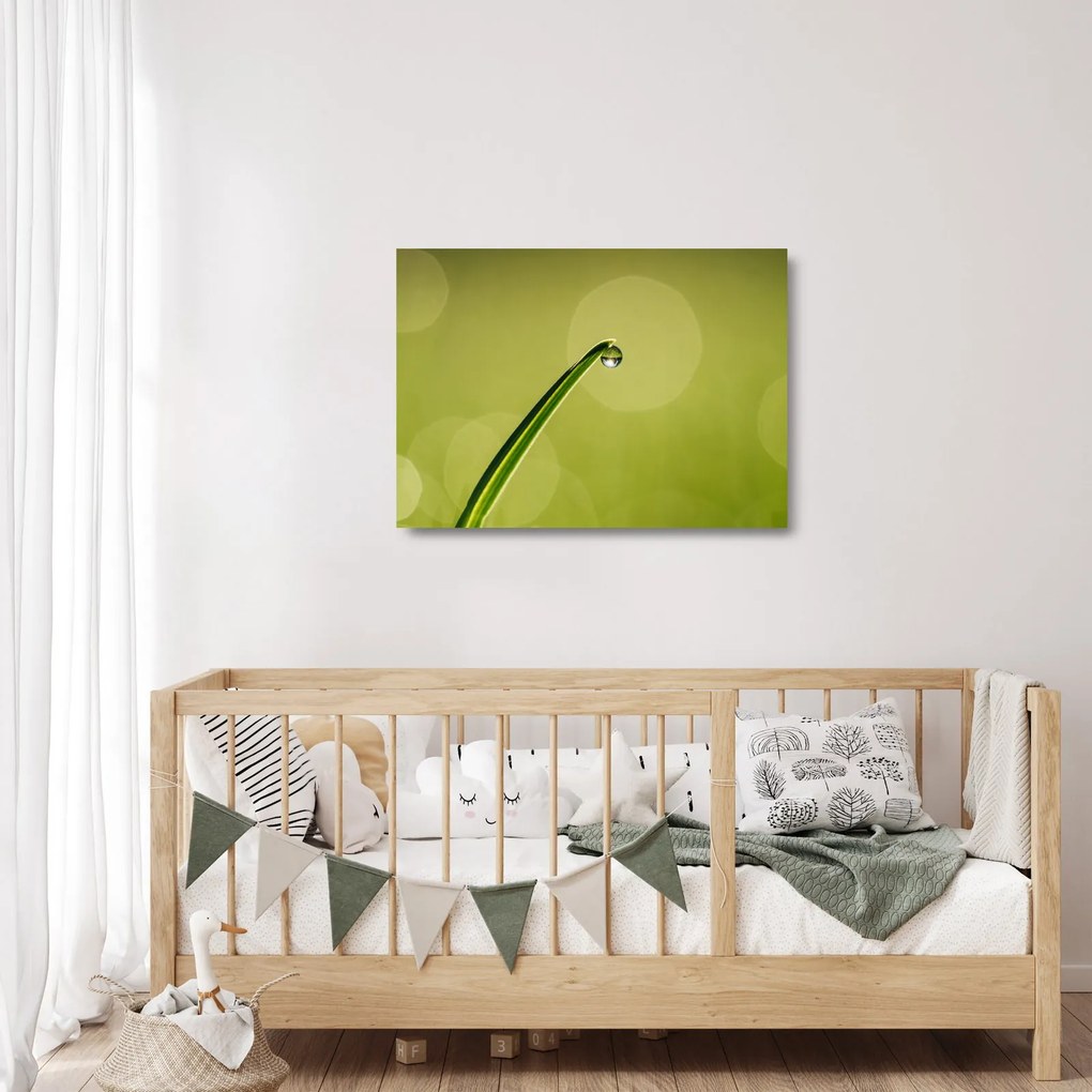Tablou pe sticlă cu picătură de apă pe iarbă (70x50 cm)