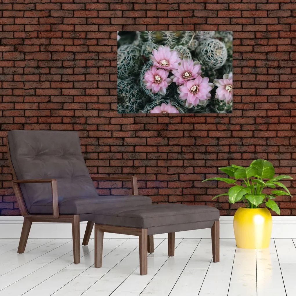 Tablou floare de cactus (70x50 cm)
