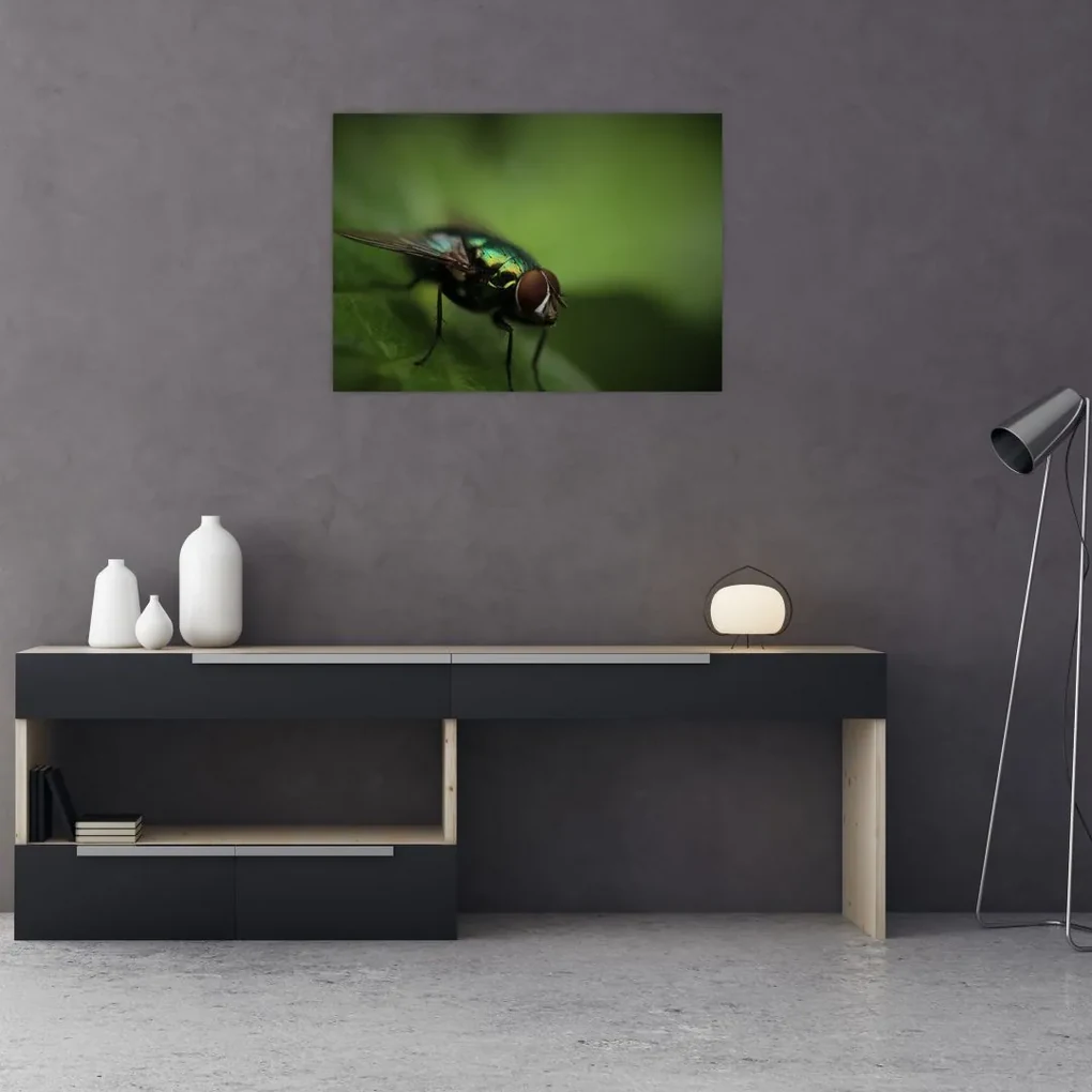 Tablou - Musca (70x50 cm), în 40 de alte dimensiuni noi